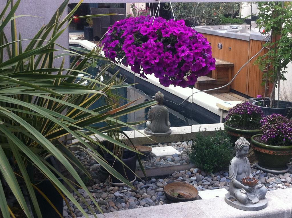 B&B - Chambres D'Hotes Le Foch Avinyon Dış mekan fotoğraf
